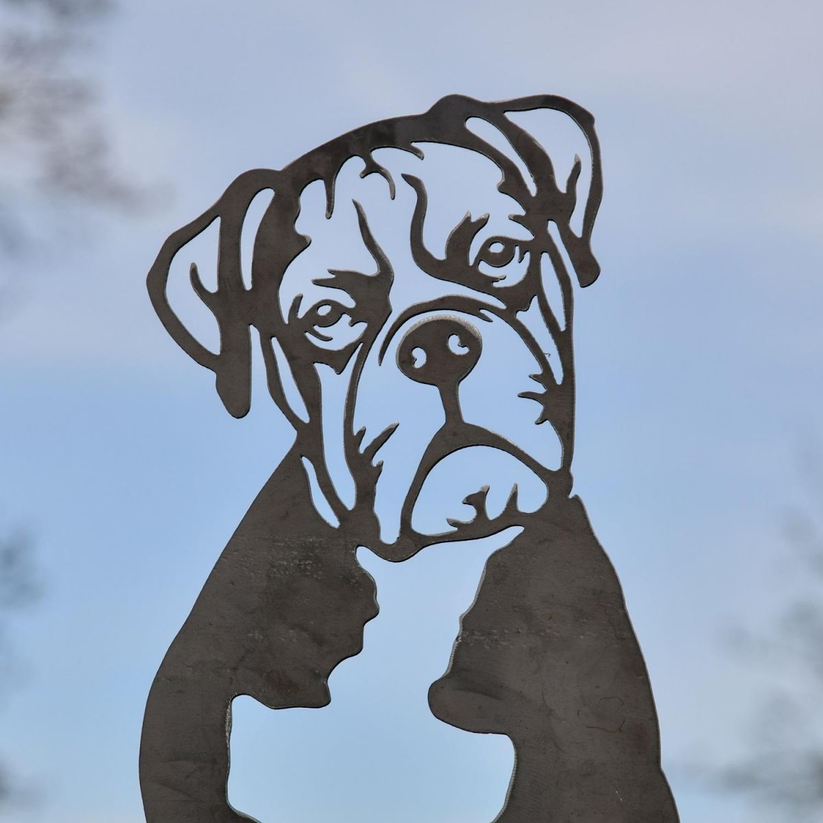 Close up of Boxer Face Close up of Boxer Face