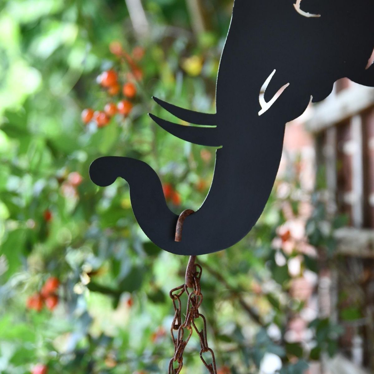 Close up of Elephant Trunk 