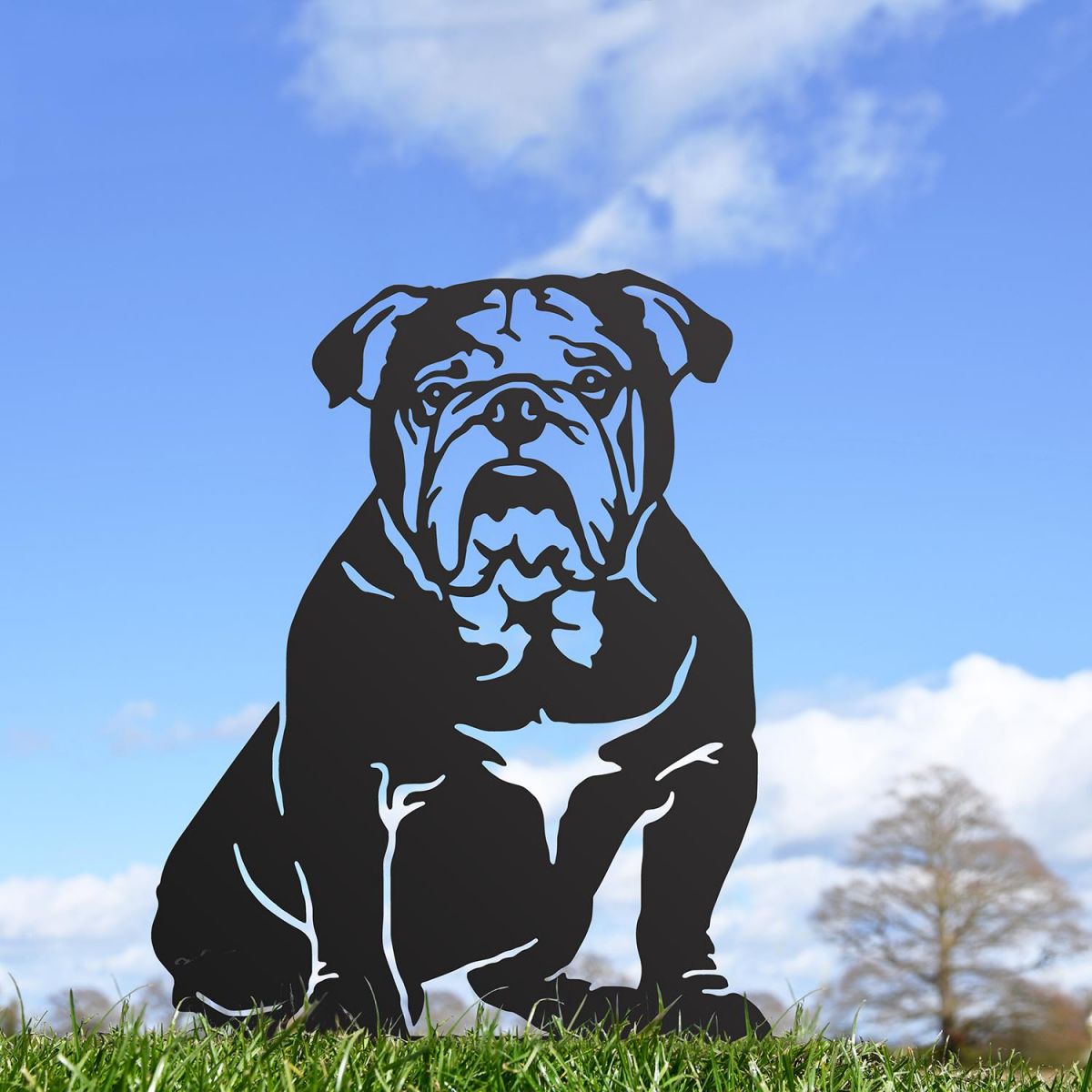 English Bulldog Silhouette Outdoors
