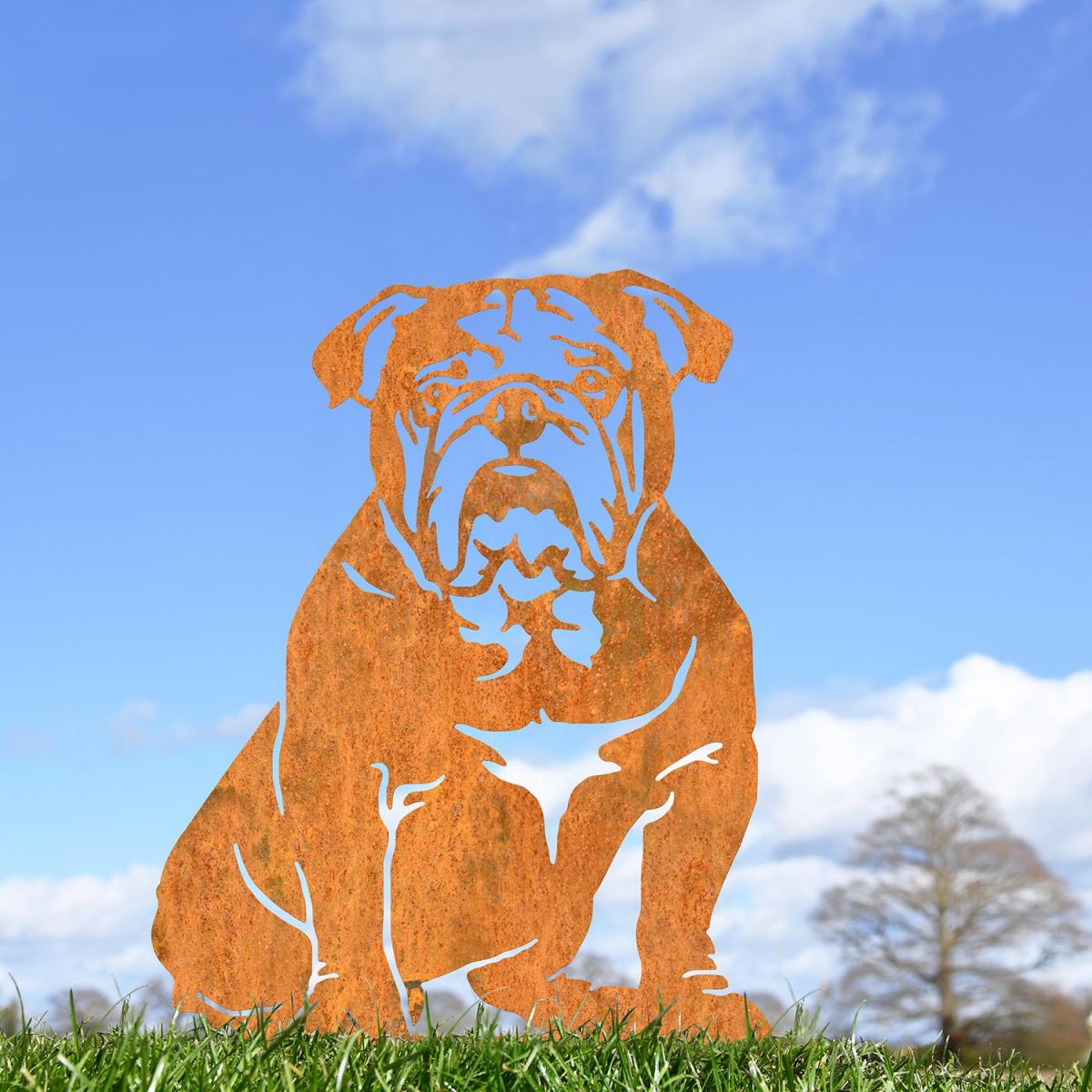 English Bulldog Silhouette Outdoors