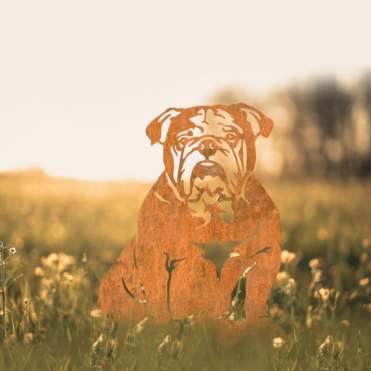 English Bulldog Silhouette in Situ in a Field