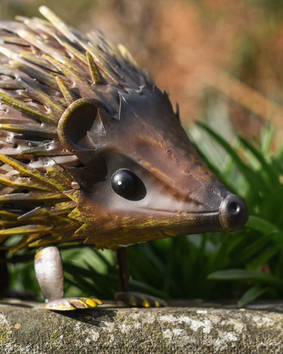 Close up of face detail on steel hedgehog patio ornament Close up of face detail on steel hedgehog patio ornament
