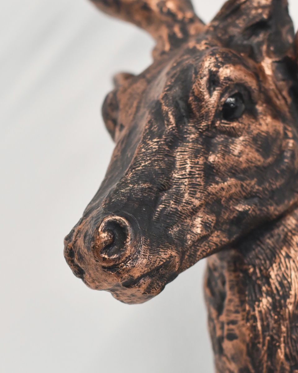 Close Up Details Of The Cast Aluminium Elk Wall Bust 