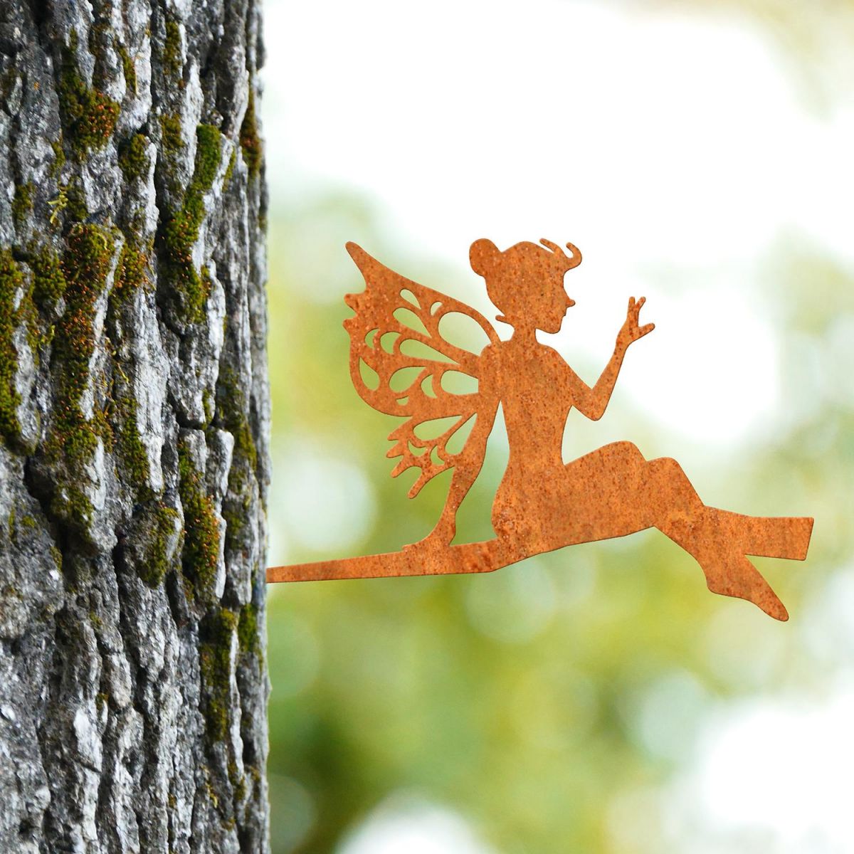 Sitting Fairy Tree Spike in Situ