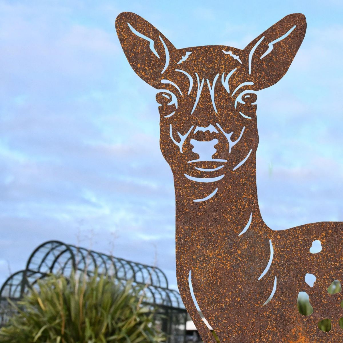 Close up of Fallow Doe Face on Silhouette 