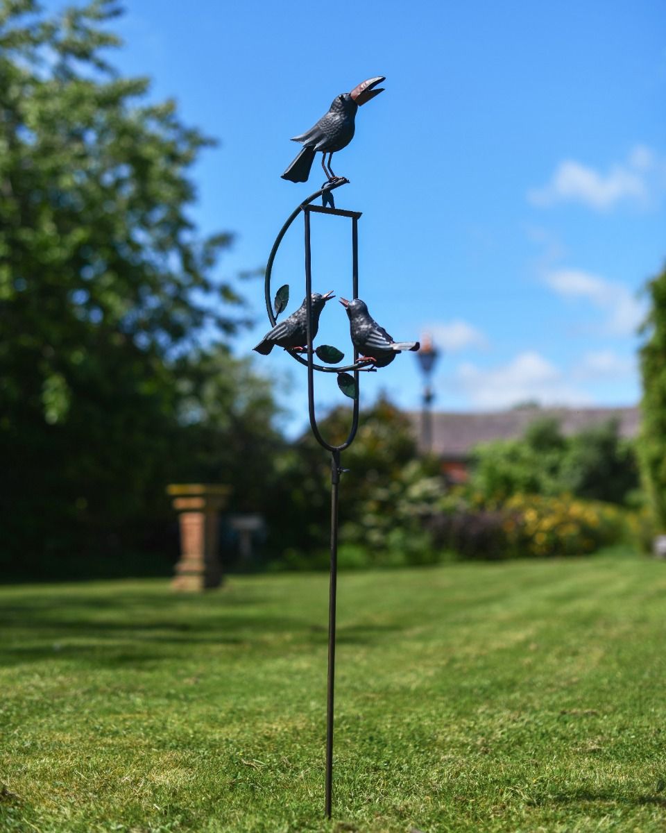 Blackbird Family on Rocking Ground Spike 