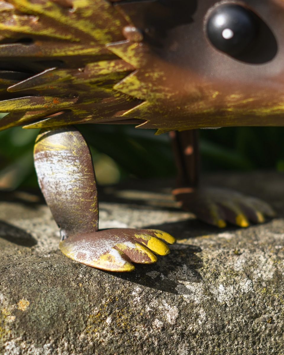 Close up of feet detail on steel hedgehog garden ornament Close up of feet detail on steel hedgehog garden ornament