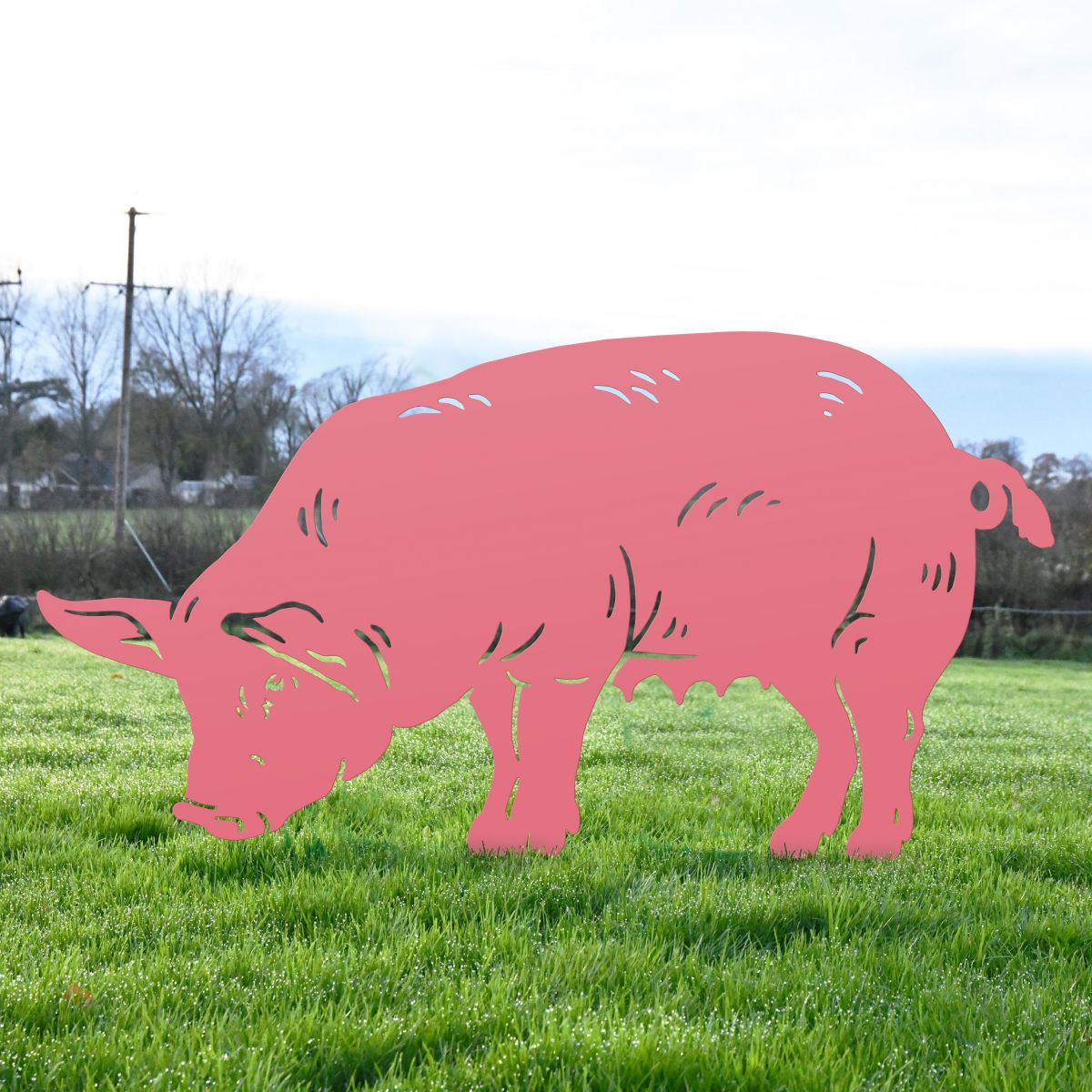 Silhouette of Pink Female Pig 