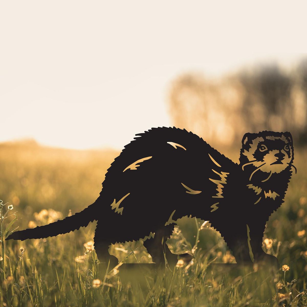 Ferret Silhouette in Situ in a Field