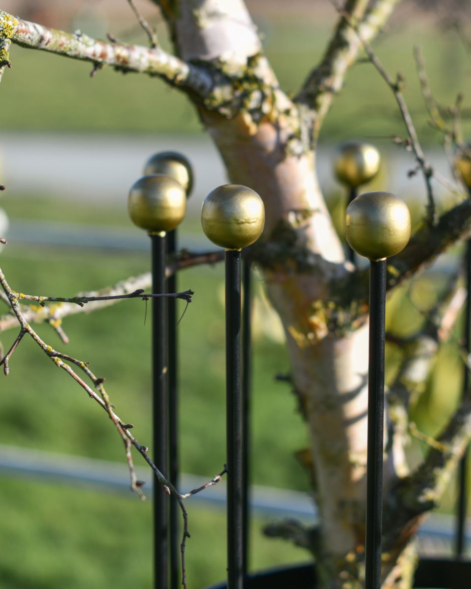 Top Details Of The Wrought Iron Traditional "Fernhill" Black Tree Guard
