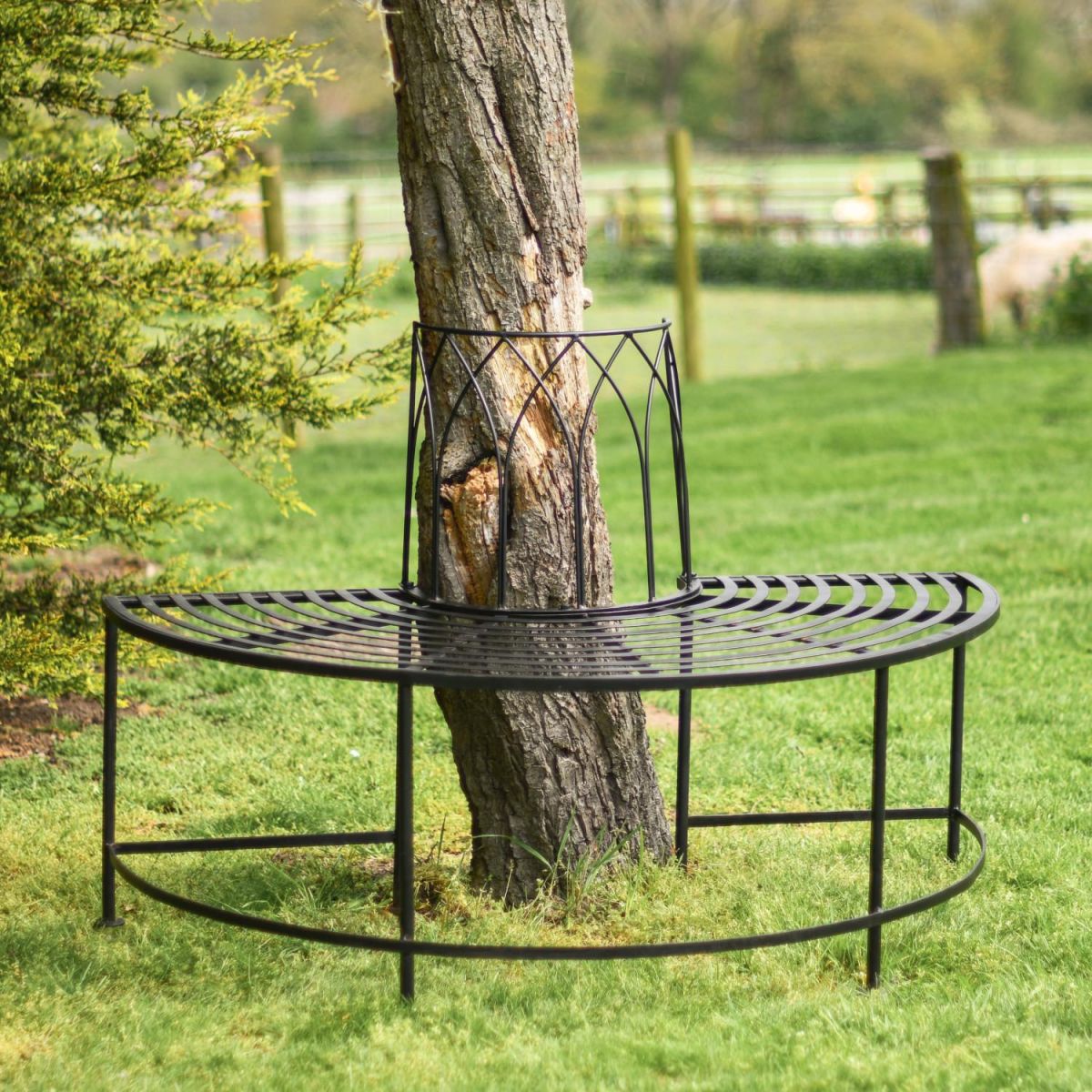 Forest of Atmos tree bench in situ Forest of Atmos tree bench in situ