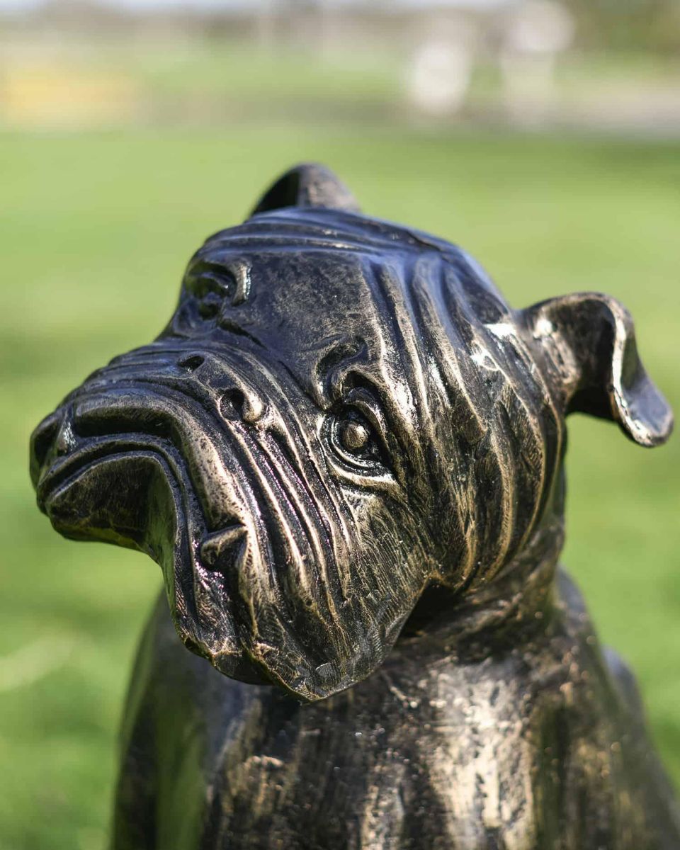 Close-Up of Freestanding Cast Aluminium Sitting Bulldog Garden Sculpture