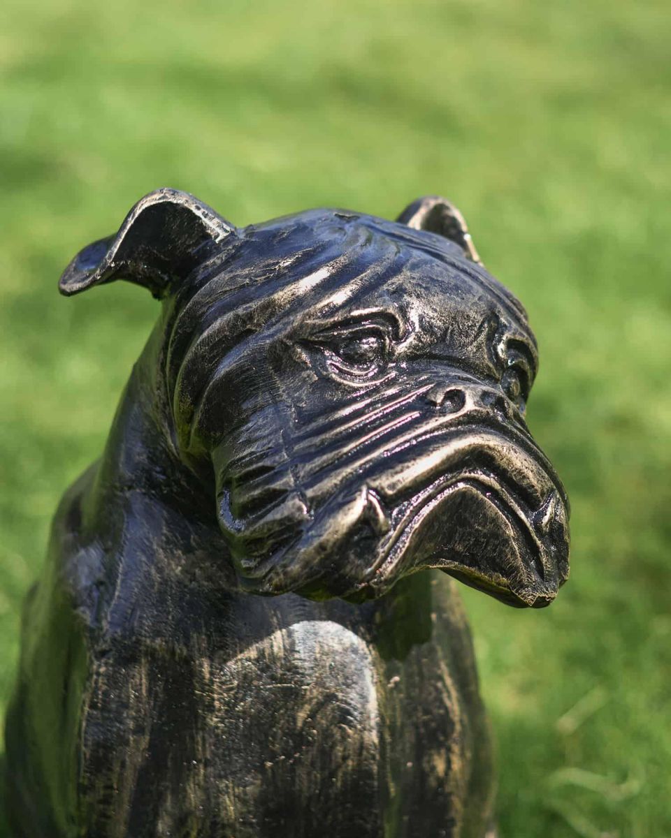 Close-Up of Antique Gold Finish on Freestanding Cast Aluminium Sitting Bulldog Garden Sculpture