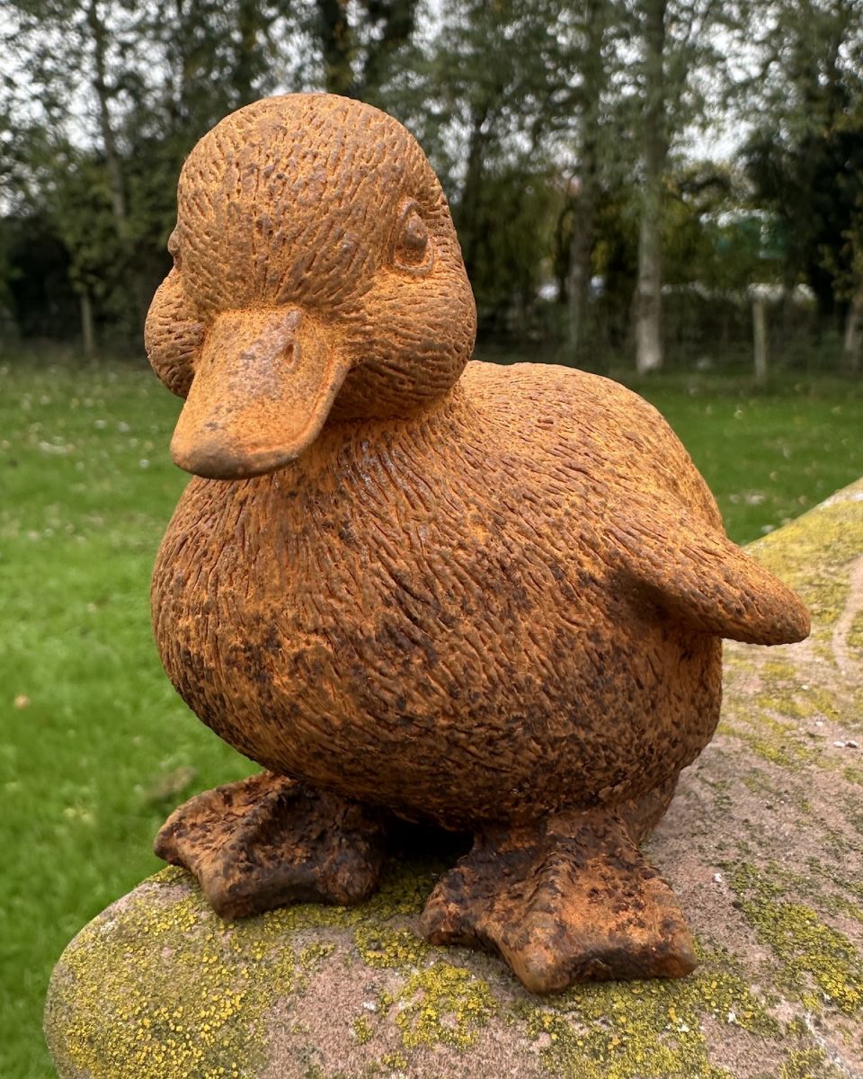 Rustic Cast Iron "Dawson" the Duck Sculpture