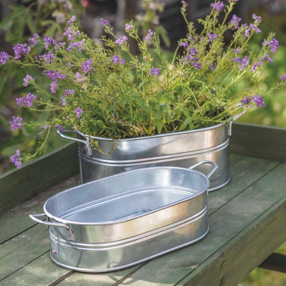 Galvanised Steel Trough Planter in Situ