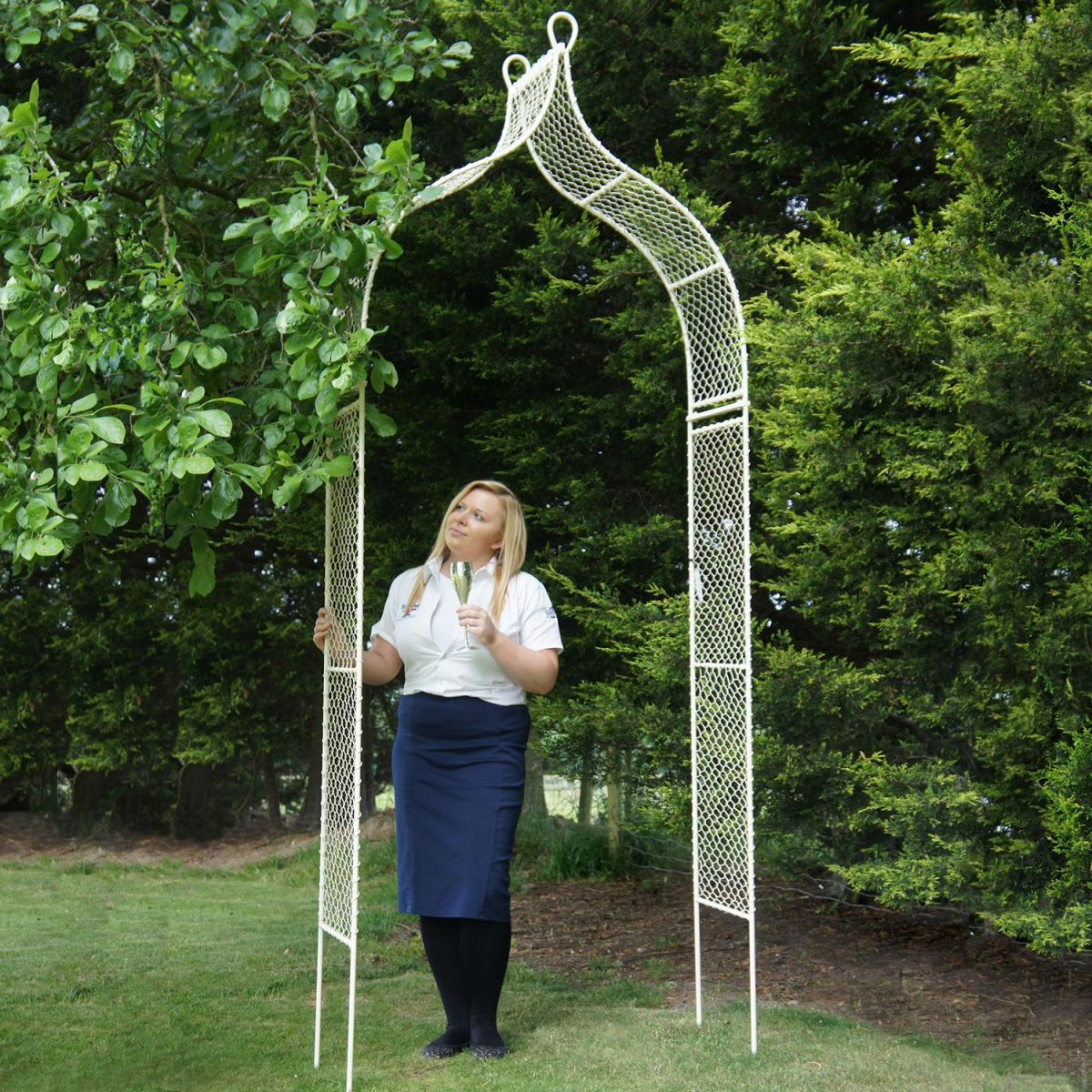 Cottage garden cream rose arch