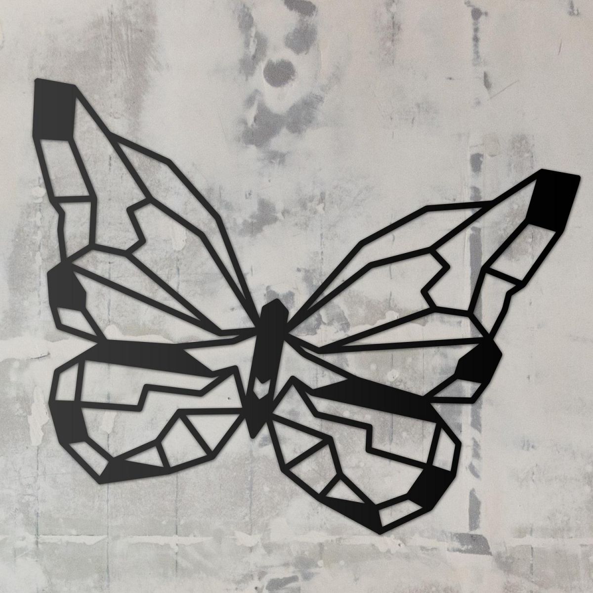 Geometric Butterfly in Full 