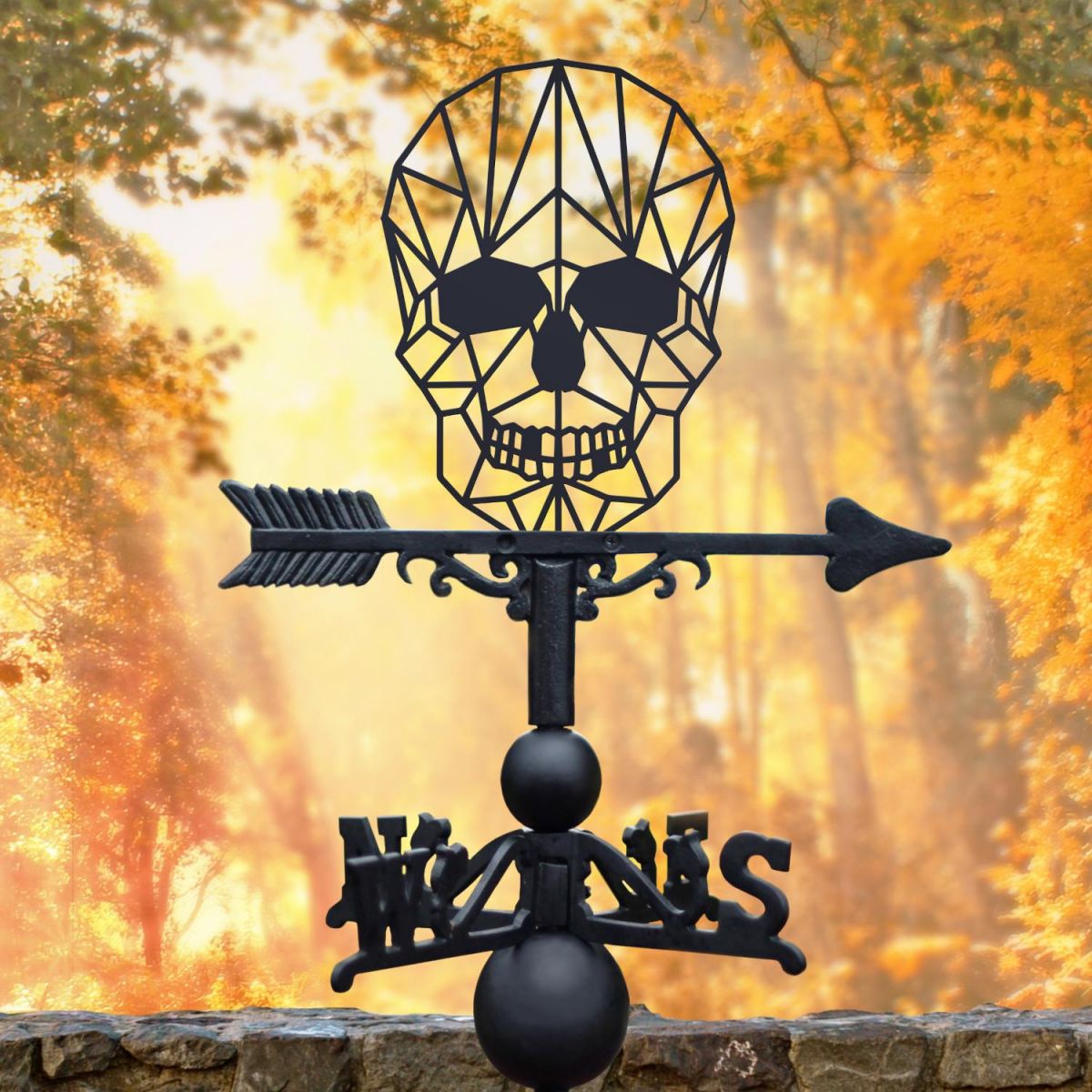 Geometric Skull Weathervane in Situ