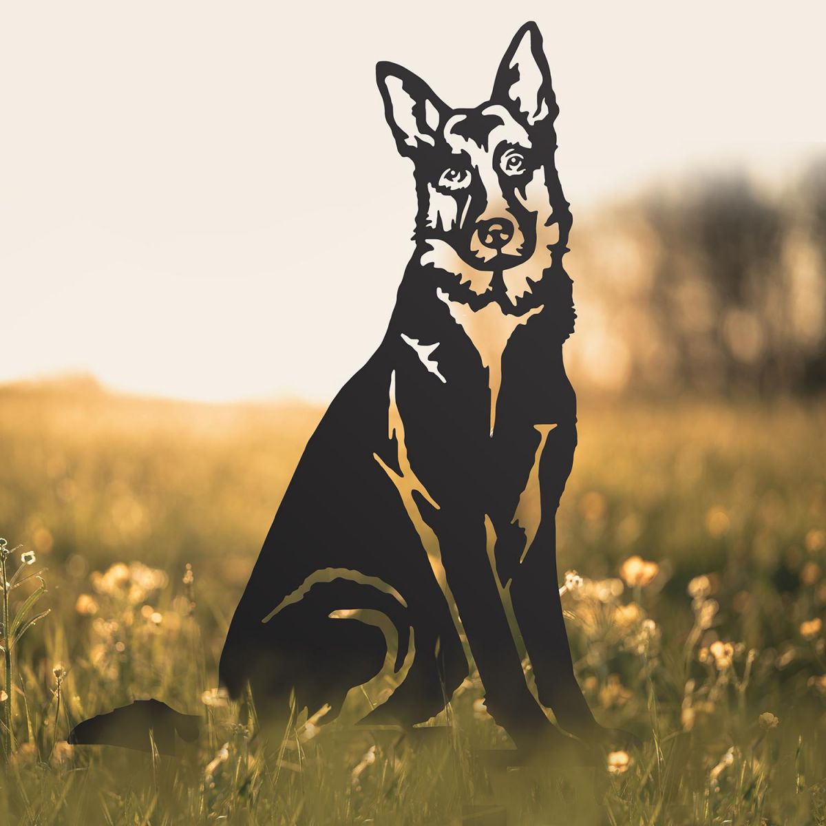 German Shepherd Silhouette in Situ in a Field