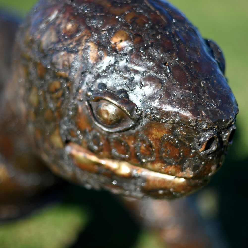 Rustic Recycled Metal On The Tortoise"s Face