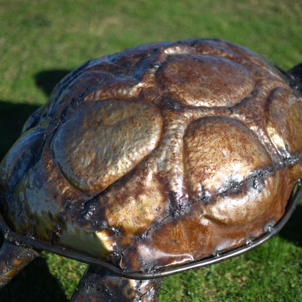 Tortoise Shell Created From Recycled Metal