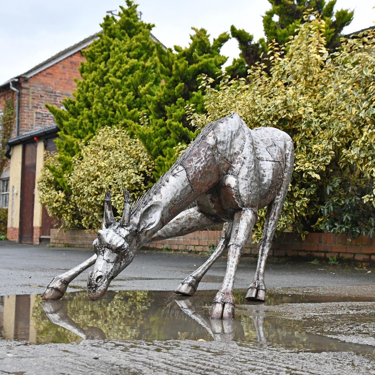  Drinking Giraffe Sculpture in Situ
