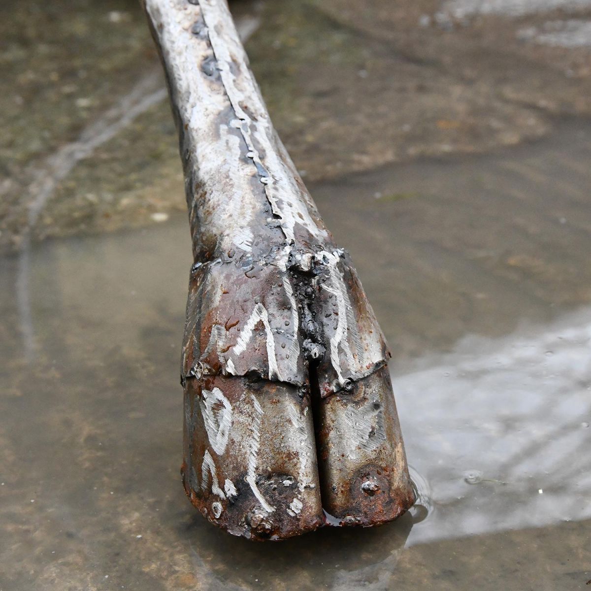 Close-up of the Feet on the Drinking Giraffe Sculpture