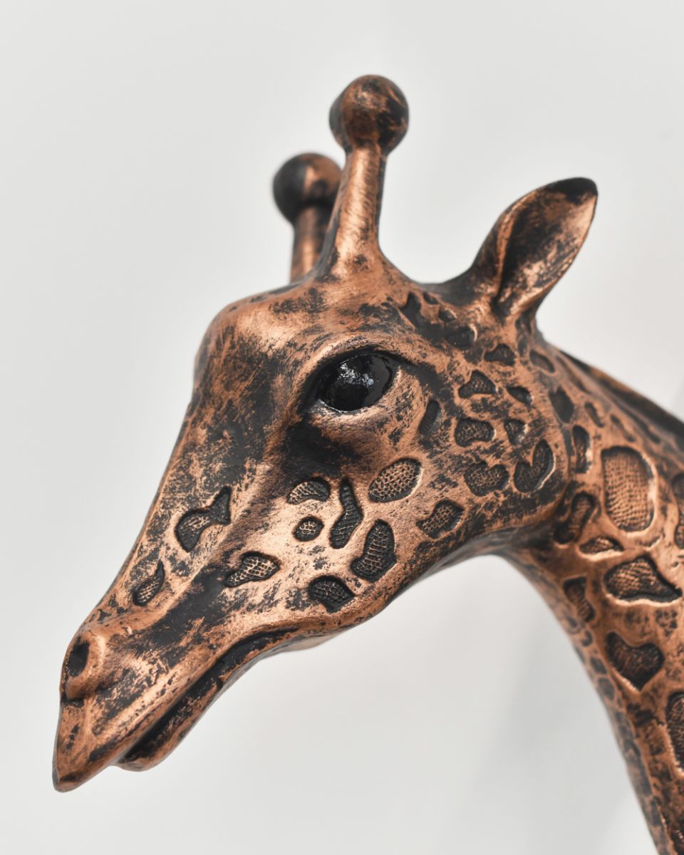 Side Of The Face From The Giraffe Wall Bust 