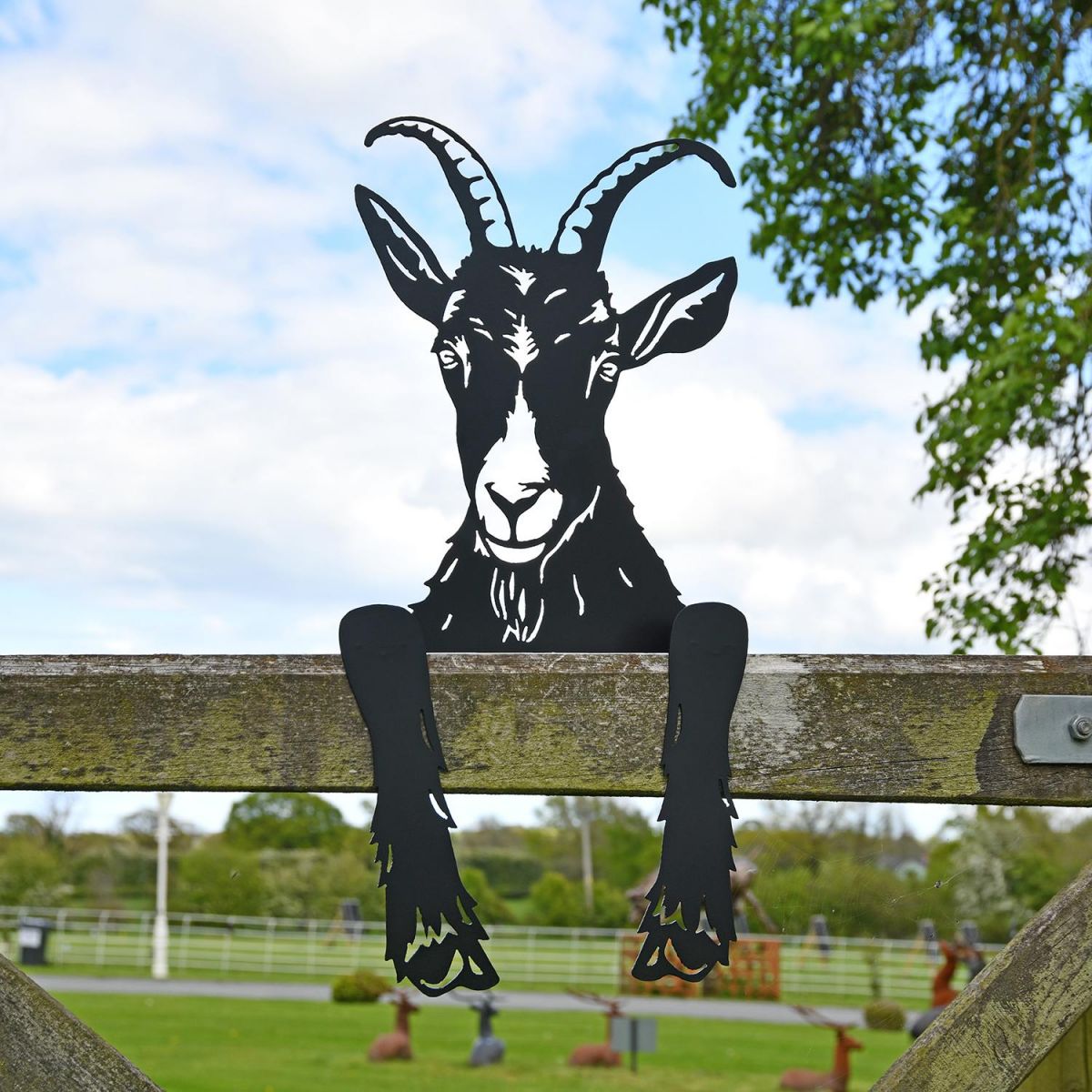 Goat Leaning Fence Topper Leaning on a Fence