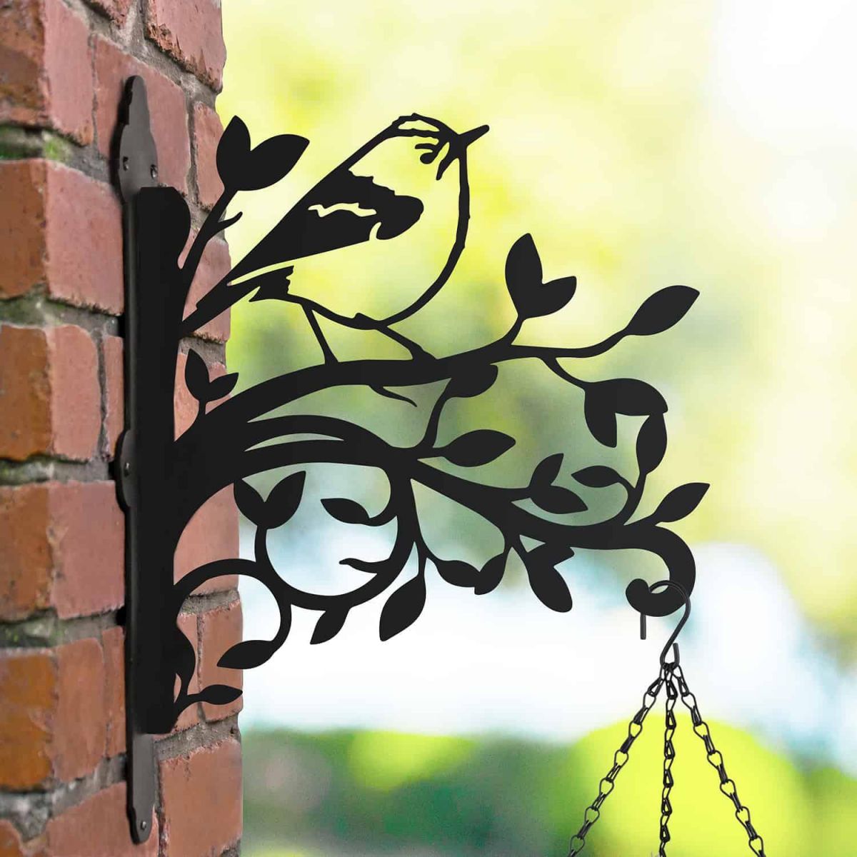 Goldcrest on Branches Steel Hanging Basket Bracket in Situ