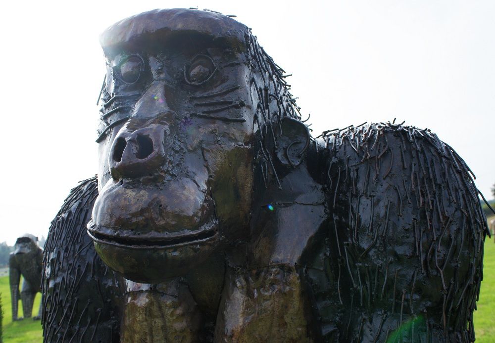 “Sir Greythwaite” Eastern Lowland Gorilla Garden Sculpture
