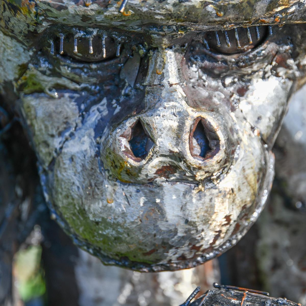 Close-up of the Gorillas Face