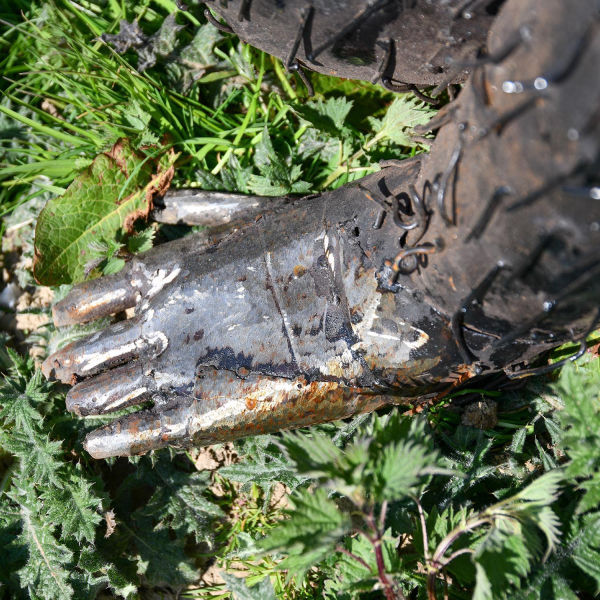 Close-up of the Hands of the Gorilla