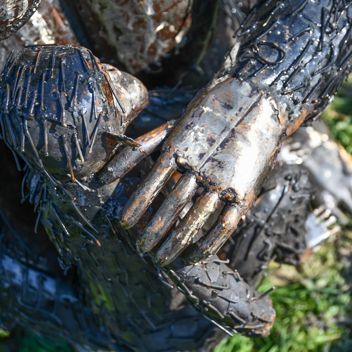 Close-up of the Hands of the Gorilla