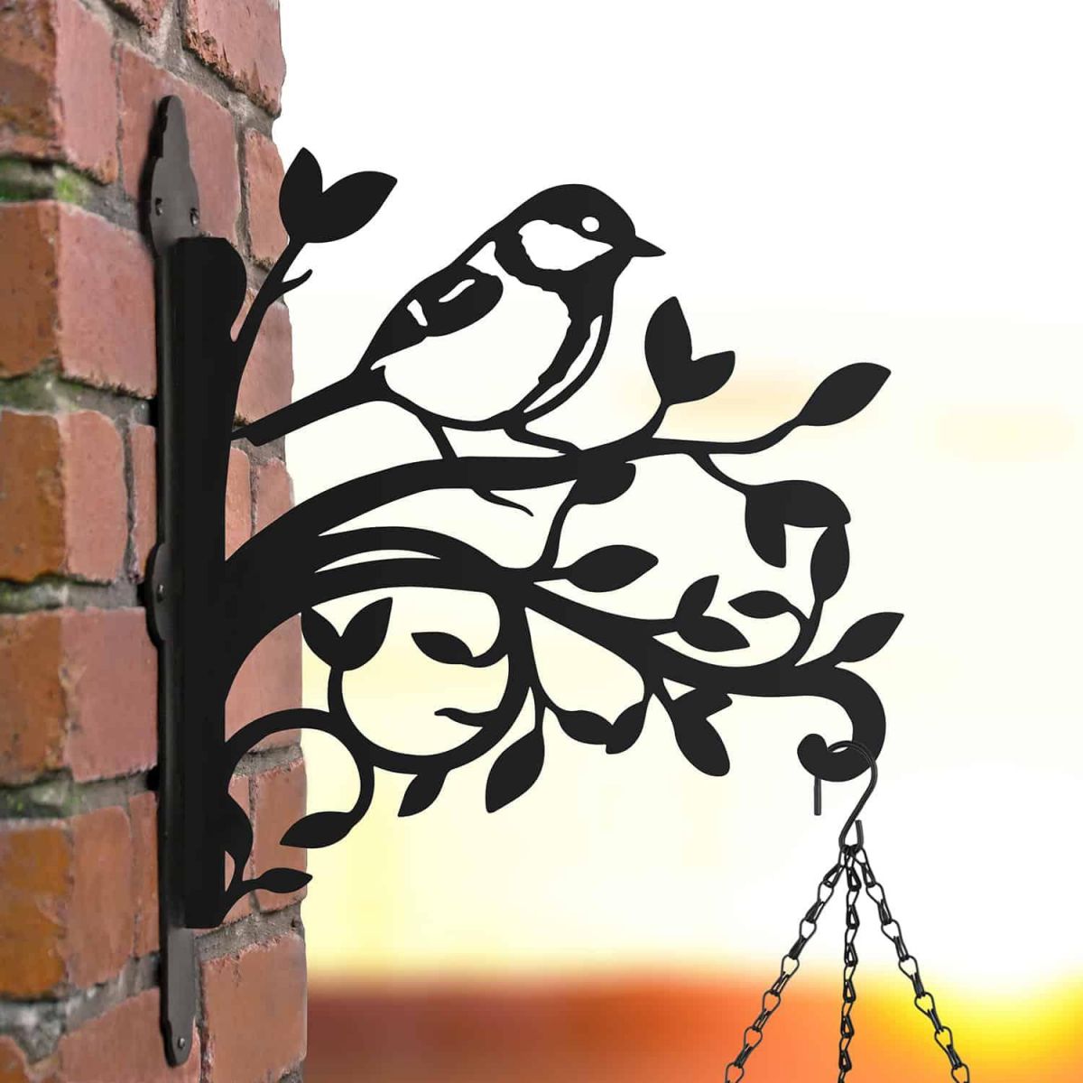 Great Tit on Branches Steel Hanging Basket Bracket in Situ Great Tit on Branches Steel Hanging Basket Bracket in Situ