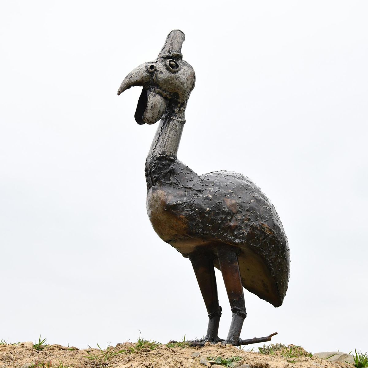 Guinea Fowl Recycled Metal Garden Sculpture in Situ Guinea Fowl Recycled Metal Garden Sculpture in Situ