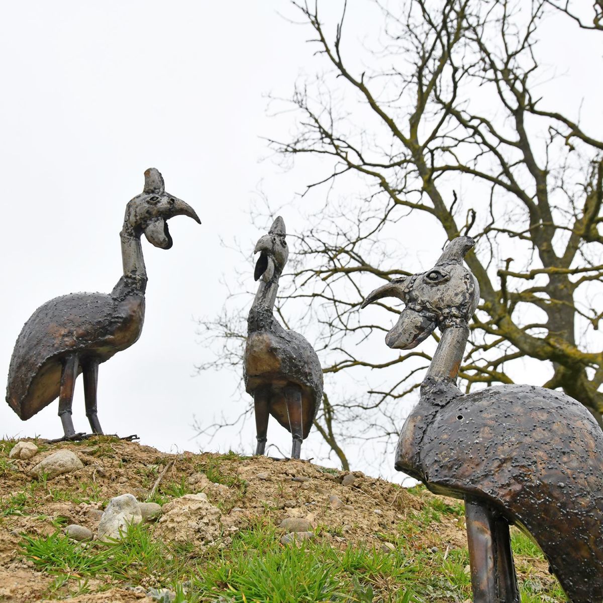 Group of Guinea Fowl Garden Sculptures in the Garden Group of Guinea Fowl Garden Sculptures in the Garden