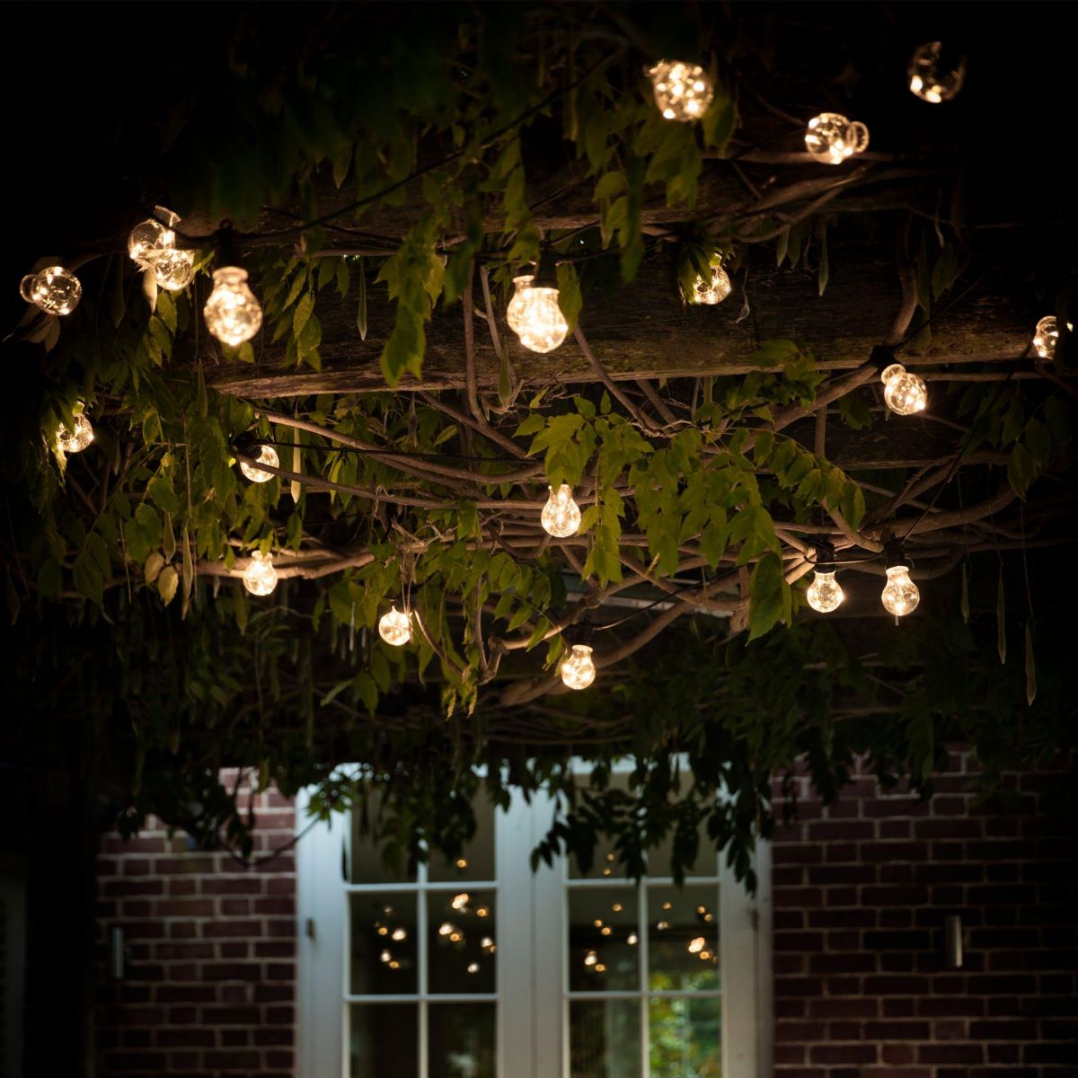 Hanging Bulb Lights in Use at Night