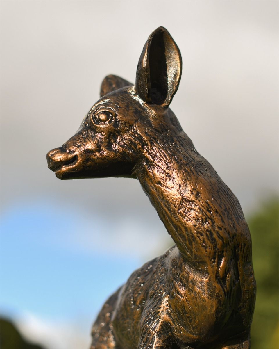 Close Up Of Fawn Looking to Side 