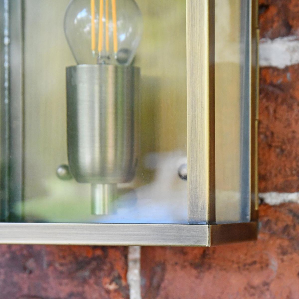 Close-up of a Bulb in the Bulb Holder