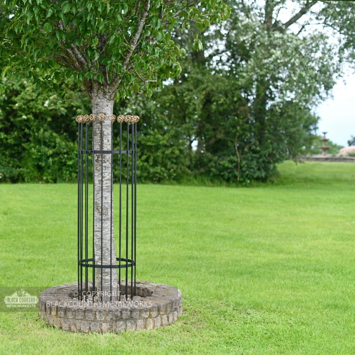 Heavy Duty Iron Black and Gold Tree Guard