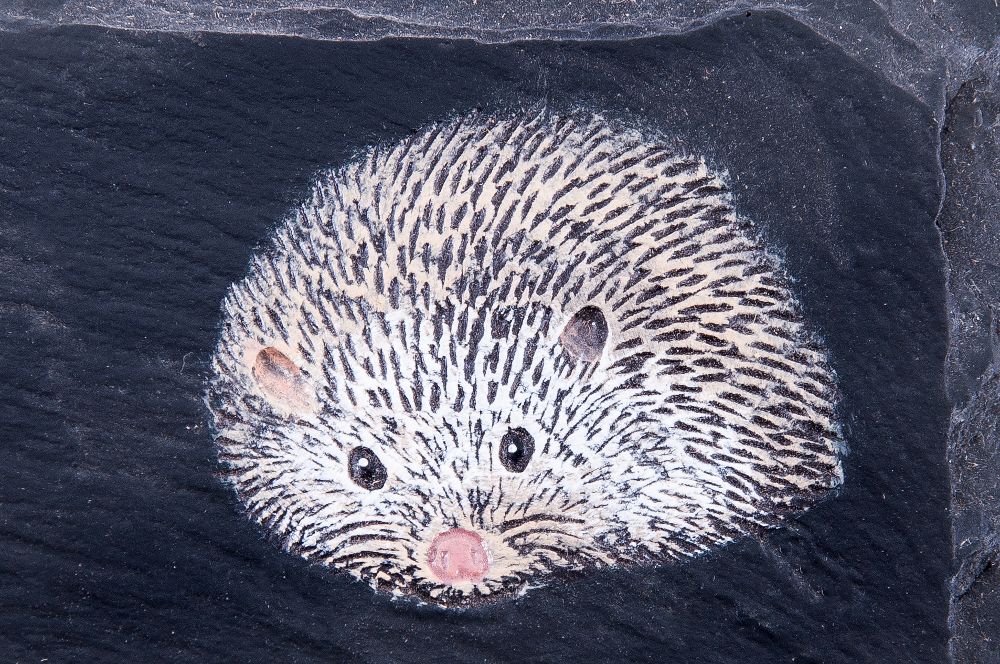 "Helmsford House" Hedgehog Slate House Number Sign "Helmsford House" Hedgehog Slate House Number Sign