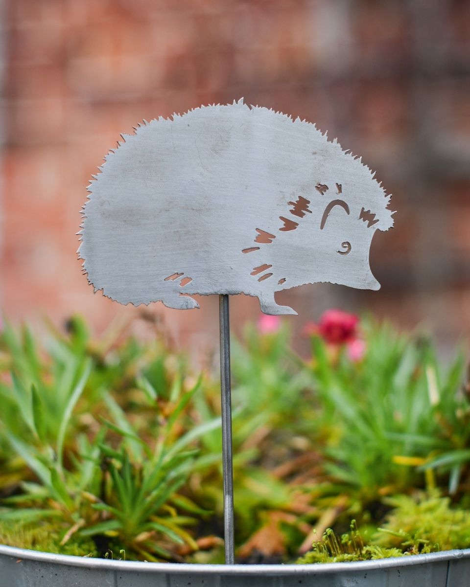 Hedgehog Artistic Plant Pot Spike - Set of Two