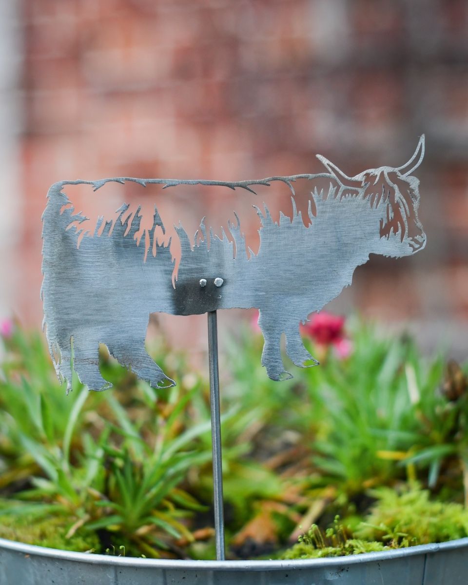 Highland Cow Artistic Plant Pot Spike - Set of Two