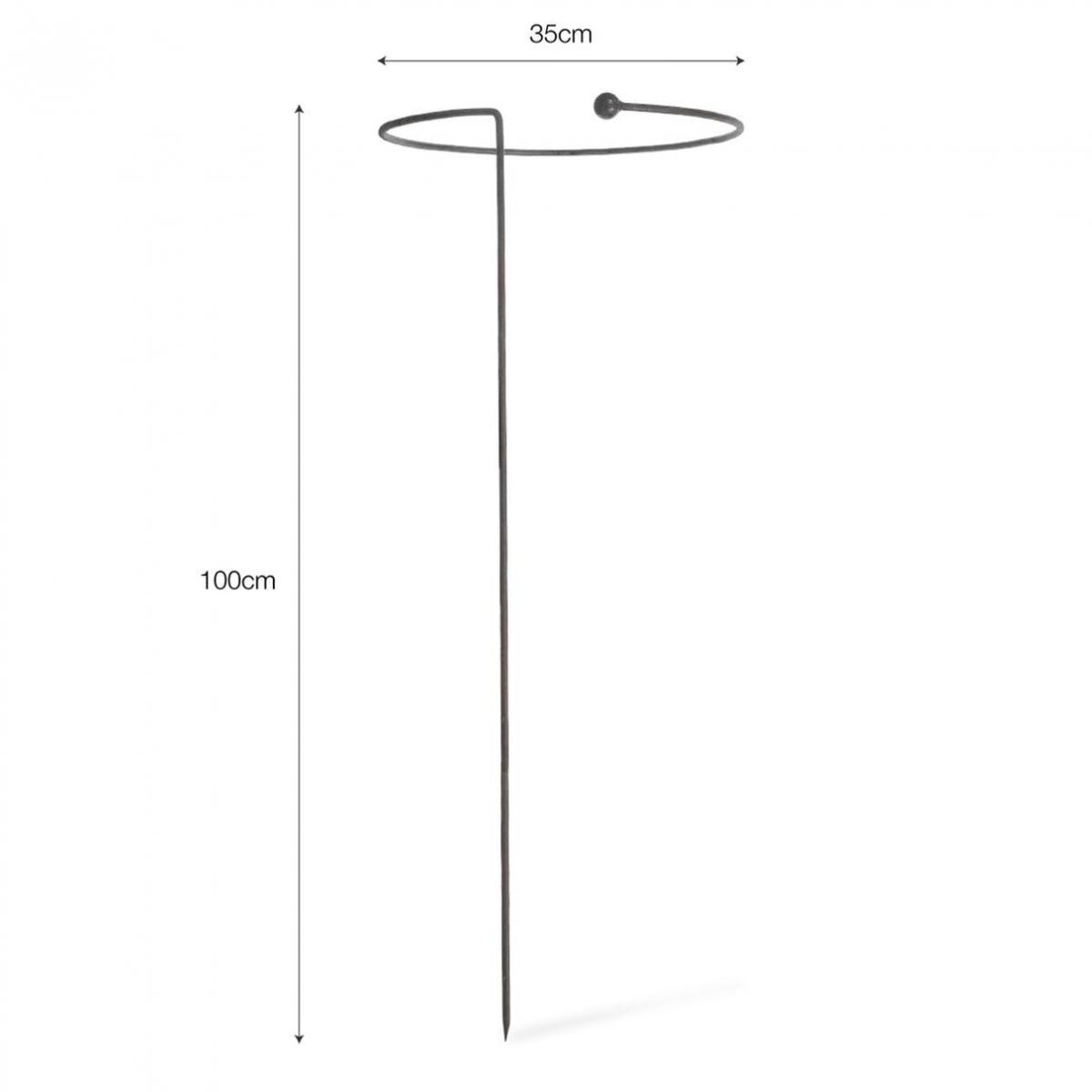 Hoop Steel Plant Support by Garden Trading Dimensions Hoop Steel Plant Support by Garden Trading Dimensions