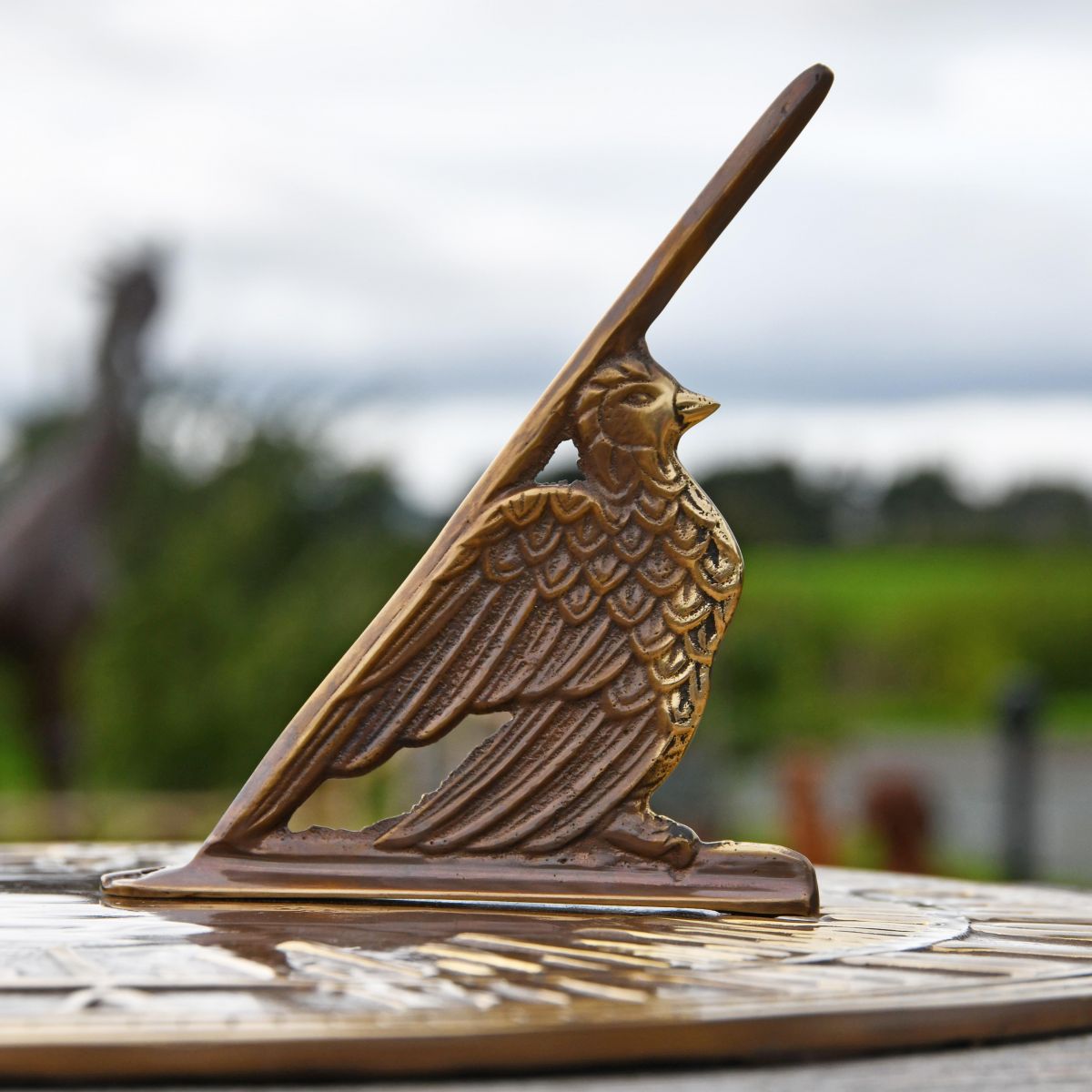 Close up of bird gnomon 