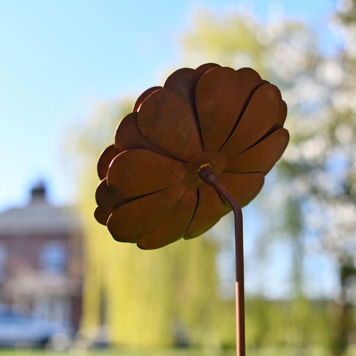 Danube Daisy Garden Floral Art