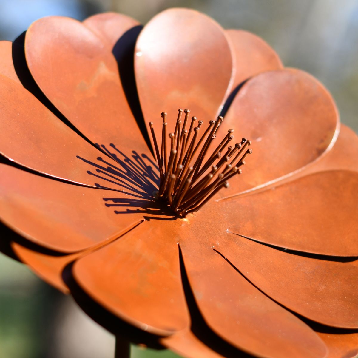 Close up image of rustic finish garden daisy flower spike