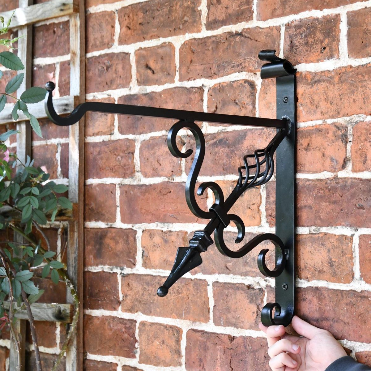 Cupids Arrow in situ Cupids Arrow in situ