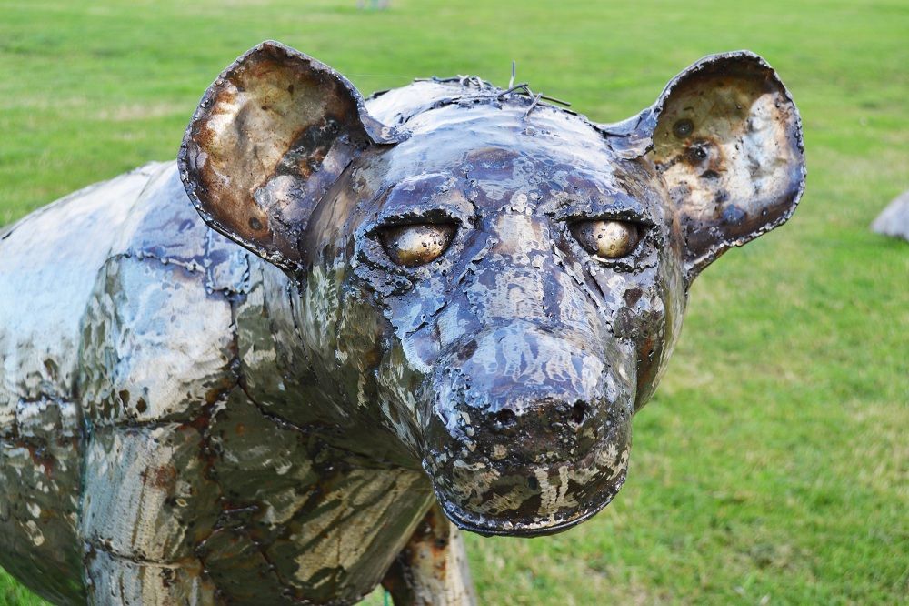 “Havelock” Hyena Garden Sculpture